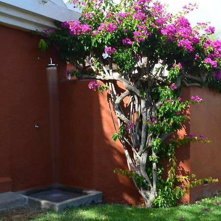 The Peaches Bungalows 45 & 46 มาสปาโลมาส ภายนอก รูปภาพ