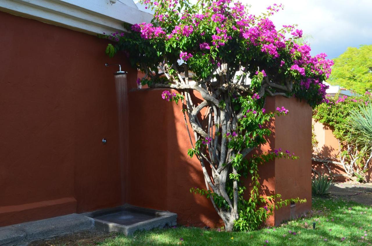 The Peaches Bungalows 45 & 46 มาสปาโลมาส ภายนอก รูปภาพ